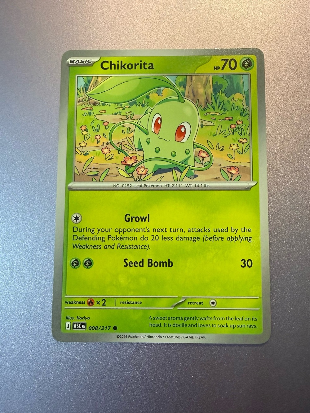 Pokemon TCG Chikorita 008/217